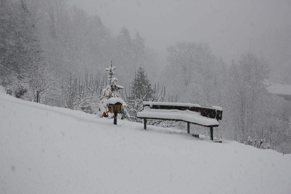 Alpenferienwohnungen Wiesenlehen Berchtesgaden Extérieur photo